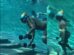 Lupita Nyong’o Training in underwater